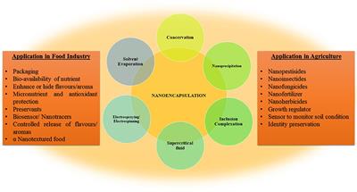 Nanoencapsulation for Agri-Food Applications and Associated Health and Environmental Concerns